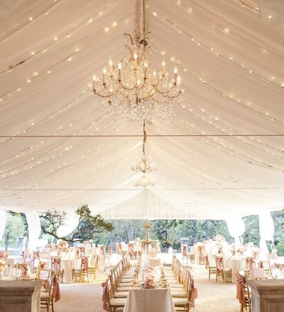 lights, flowers and beautiful
