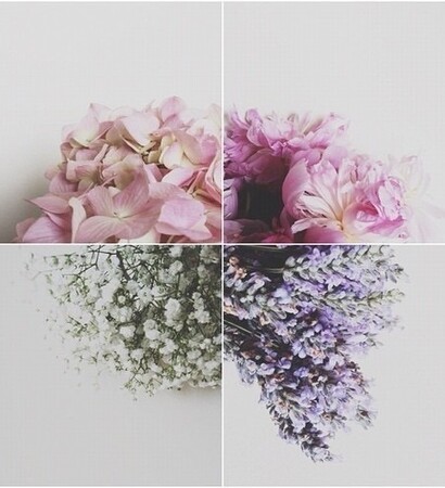 beautiful, pink and flowers