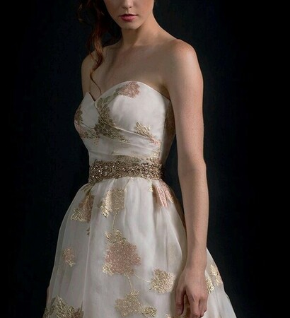 model, schreave and dress