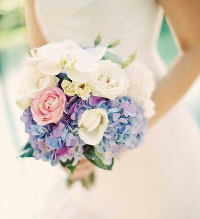 roses, purple and colourful