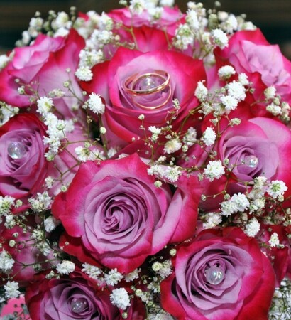 flowers, beautiful flowers and rings