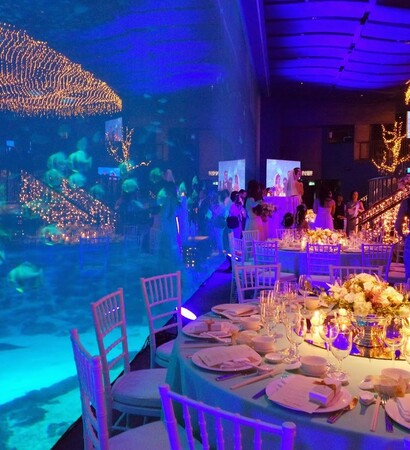 places, sea aquarium and singapore