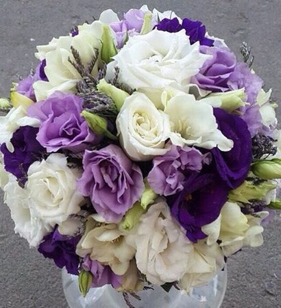 pictures, beautiful flowers and photo