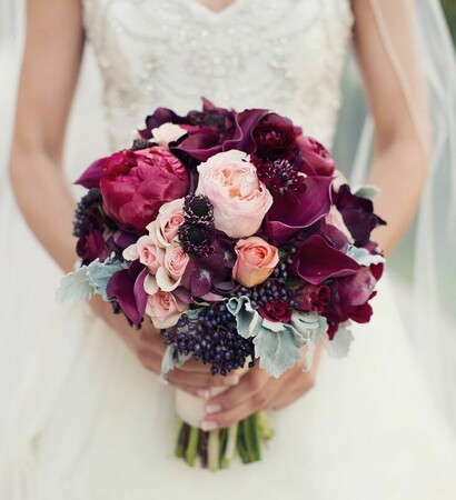 roses, beautiful and cute