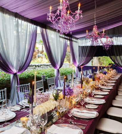 reception, outside and purple