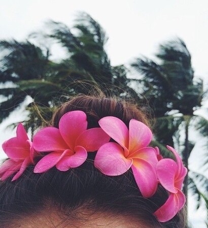 tropic, flowers and tropical