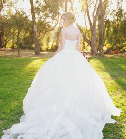 Vera Wang, wedding dress and Dream