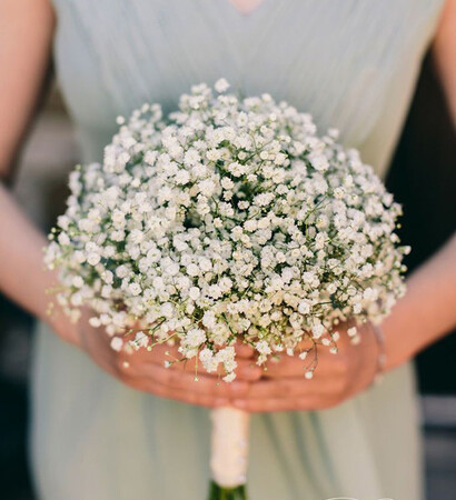 gyp, flower and white