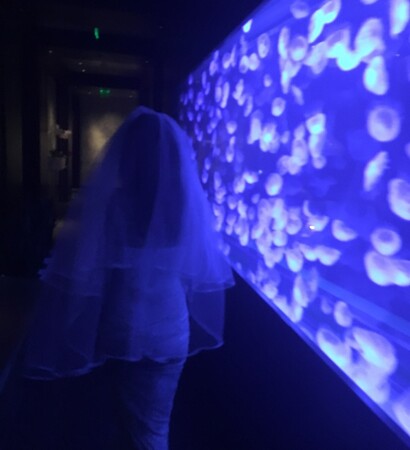 dark, lit and dress