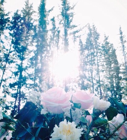 sunshine, gorgeous and pastel