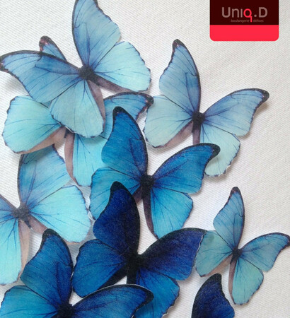 wedding favor, butterfly and rainbow colors