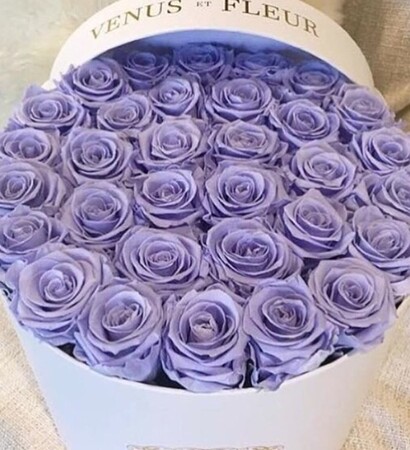 valentines day, flower and purple
