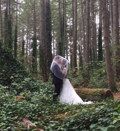forest, beautiful and grunge