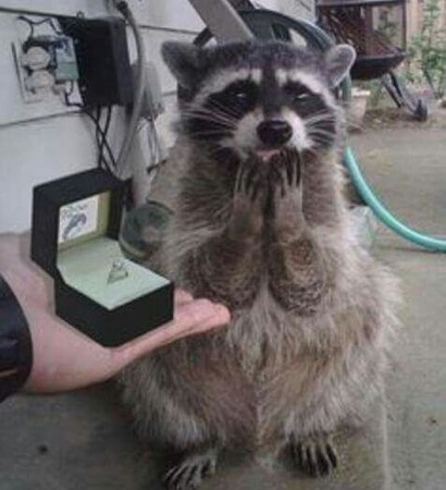 friends, cute and surprise