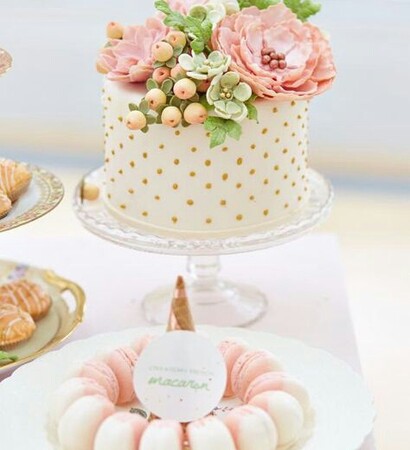 macarons, party and cake