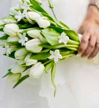 flower, perfect and spring