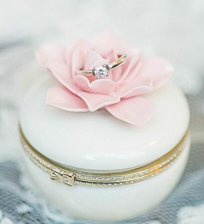 rose, fashion and beautiful