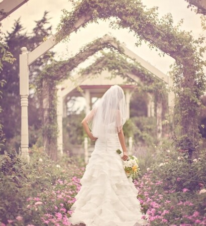 beautiful, architecture and flowers