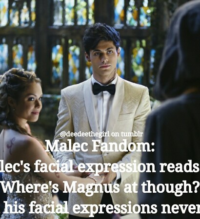 shadowhunters, goals and meme