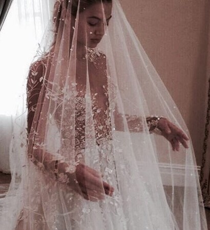 beautiful, dress and veil