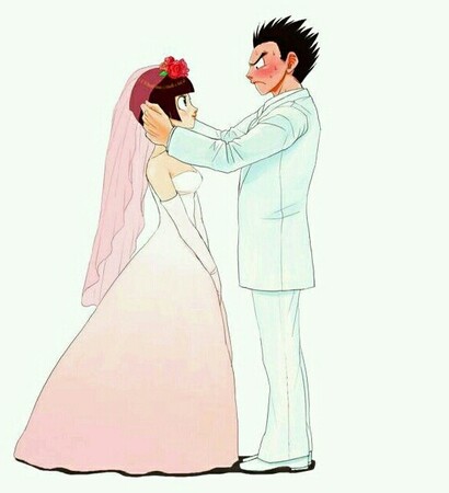 videl, love and gohan