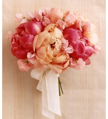 ribbon, beautiful and peach