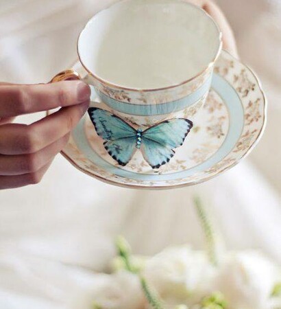 butterfly, vintage and classic