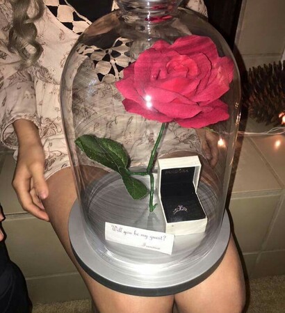 beauty, beauty and the beast and flower