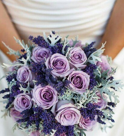 levander, purple and rose