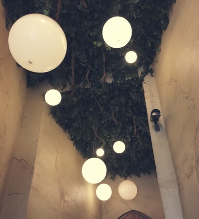 fairy lights, boho and fantasy decor