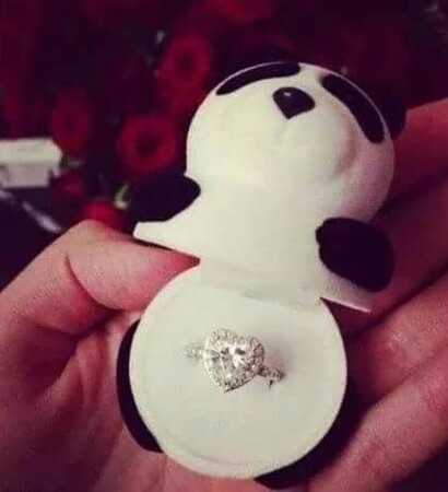 marriage request, willyoumarryme and love