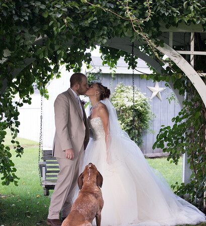 bride, dog and love