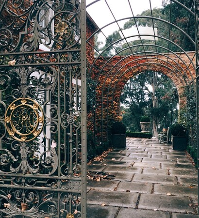 autumn, garden and fall