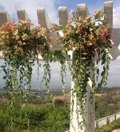 love, garden wedding and city view