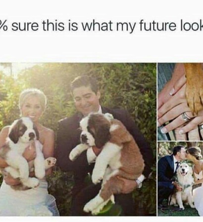 weddinggoals, dogs and loveit