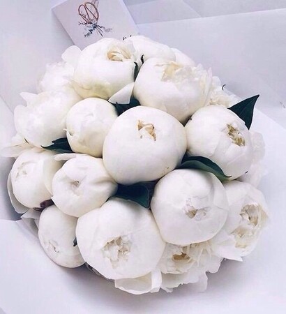 flowers, pions and white