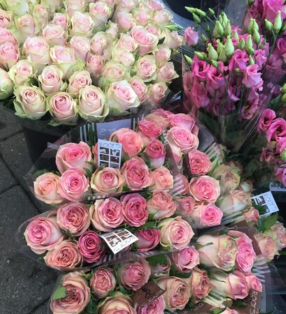 wed, beautiful and goals