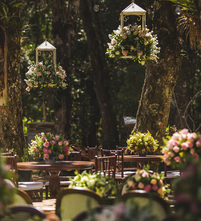 cold, monte verde and forest