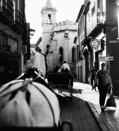horse, street and black and white