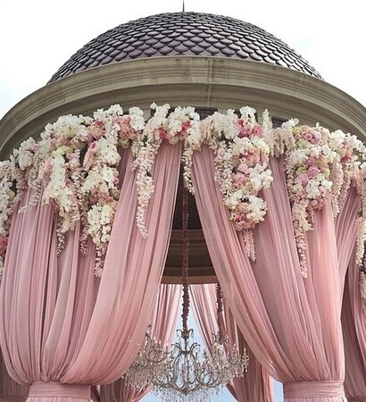 roses, pink and flowers