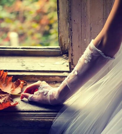 bride, we heart it and wow