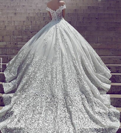 veil, crown and wedding gown