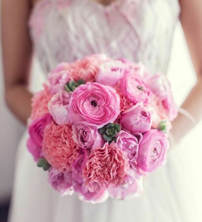 beautiful, cute and dress. roses