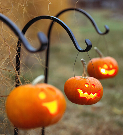 fall, decoration and autumn