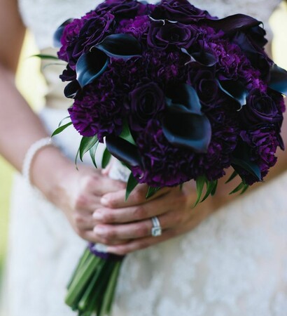 flower, dark and purple