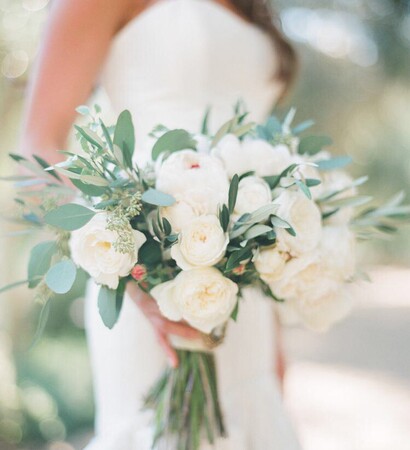 eucalyptus, flower and pretty