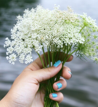 nature, tumblr and outdoors
