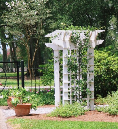 garden, nola and minimal