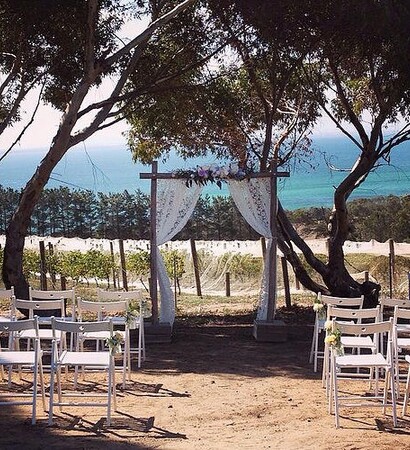 arbour, view and boho
