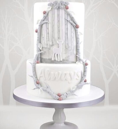harrypotter, harrypottertheme and cake